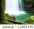 神秘的な滝 11862436