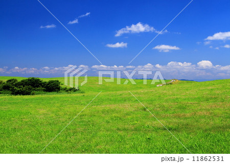 夏の仁賀保高原 11862531