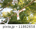 おみくじ 11862658
