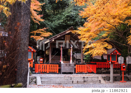 野宮神社 本殿 野宮神社 本殿 11862921
