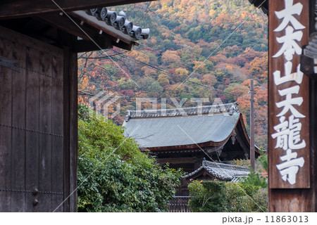 天龍寺 天龍寺 11863013