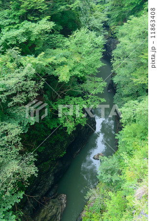 群馬　吾妻渓谷 11863408