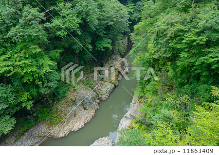 群馬　吾妻渓谷 11863409