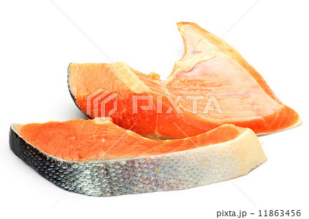 鮭の切り身 鮭の切り身 11863456