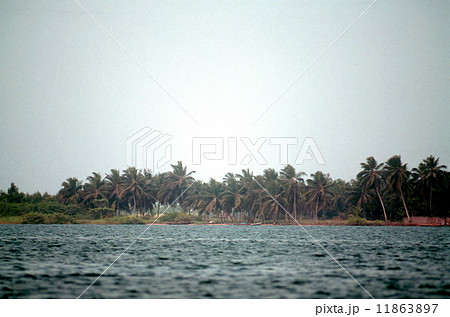 ヴォルタ川の河口 ヴォルタ川の河口 11863897