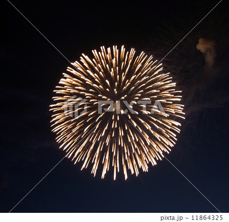 長岡花火大会(新潟) - Nagaoka Fireworks 長岡花火大会(新潟) - Nagaoka Fireworks 11864325