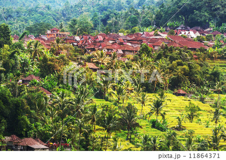 Indonesia landscapes 11864371