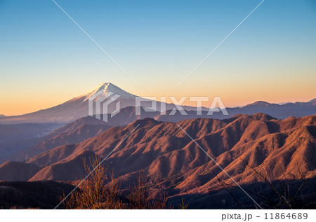 早朝の奥秩父からの富士山 早朝の奥秩父からの富士山 11864689