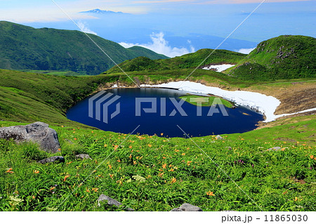 ニッコウキスゲ咲く御浜付近から鳥海山・鳥海湖と月山遠望 11865030