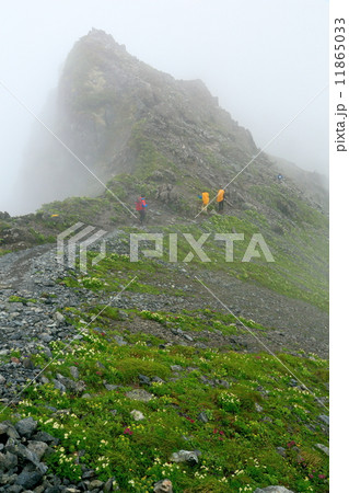 霧の南アルプス・間ノ岳への縦走路 11865033