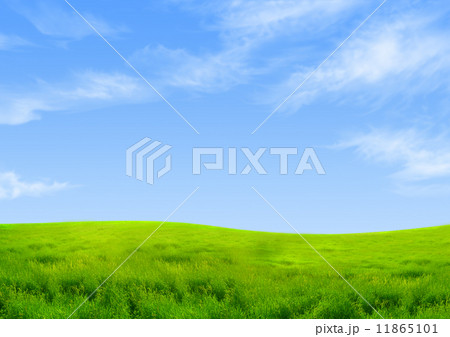 Green grass Green grass 11865101