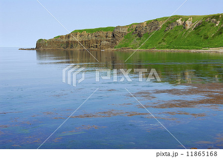 礼文島の海岸 11865168