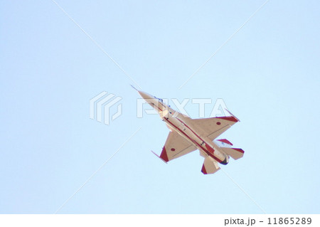 航空ショー 11865289