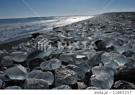 冬の十勝川河口 11865557