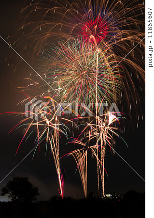 夏の風物詩・花火イメージ(第32回調布市花火大会) 11865607