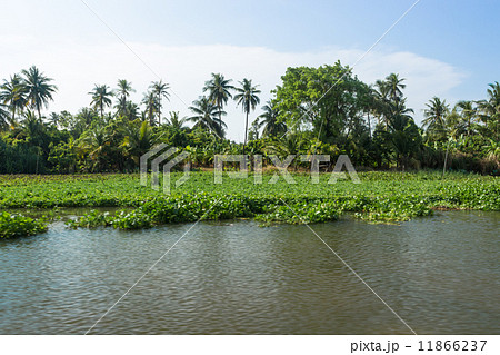 Riverside landscape 11866237