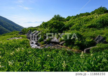 木曽駒ヶ岳　千畳敷カール 11866350