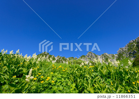 木曽駒ヶ岳　千畳敷カール 11866351