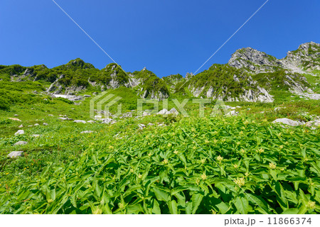 木曽駒ヶ岳　千畳敷カール 11866374