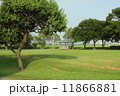 公園 11866881