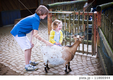 Happy kids petting a goat in a zoo Happy kids petting a goat in a zoo 11866944
