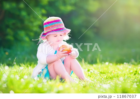 Toddler girl eating an aple in the garden Toddler girl eating an aple in the garden 11867037