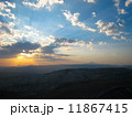 朝日 11867415