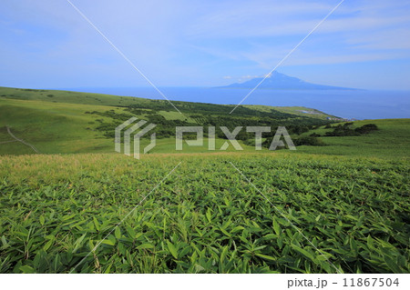 礼文島・桃岩遊歩道からの眺望 11867504