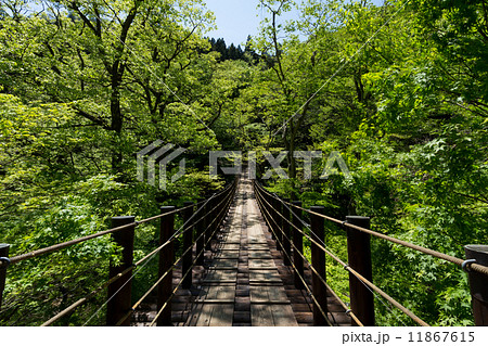 花貫渓谷　汐見滝吊り橋 11867615