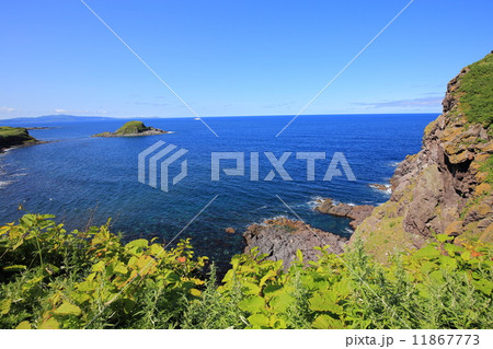 利尻島・夕日ヶ丘展望台からの眺望 利尻島・夕日ヶ丘展望台からの眺望 11867773