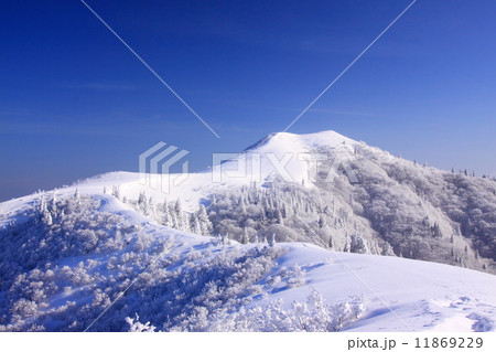 武奈ヶ岳　冬の西南稜 11869229