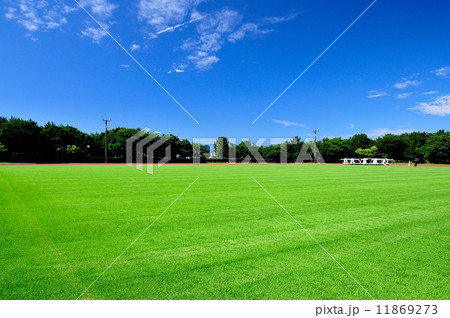 芝生のスワンフィールド 芝生のスワンフィールド 11869273