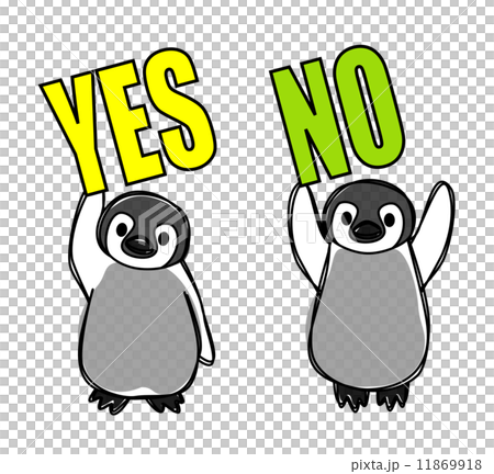 YESとNO YESとNO 11869918