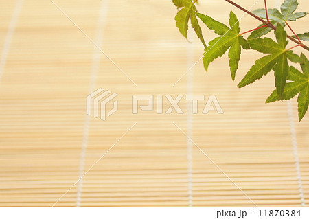 背景素材（夏イメージ） 11870384