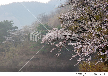 岩神貯水池1 11870781