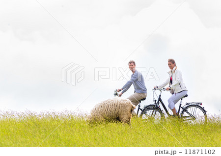 Couple having sea coast bicycle tour at levee 11871102