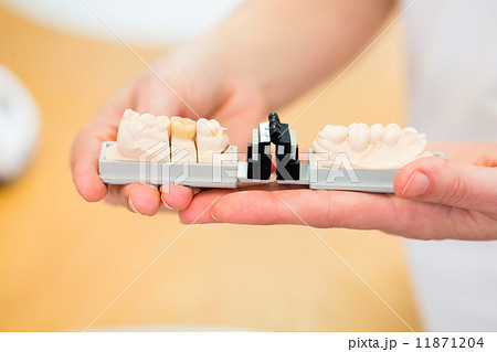 Dental technician checking denture Dental technician checking denture 11871204