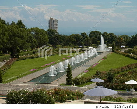須磨離宮公園 11871332