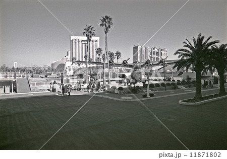 東京湾埋立地・船の科学館より　1990年代の記録 11871802