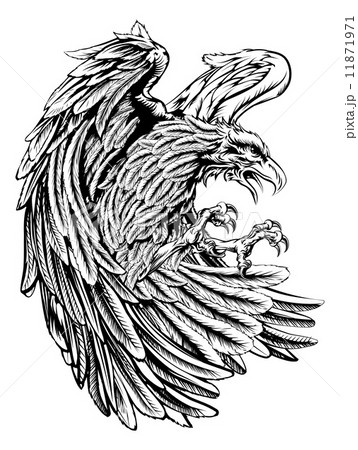 Vintage style eagle 11871971