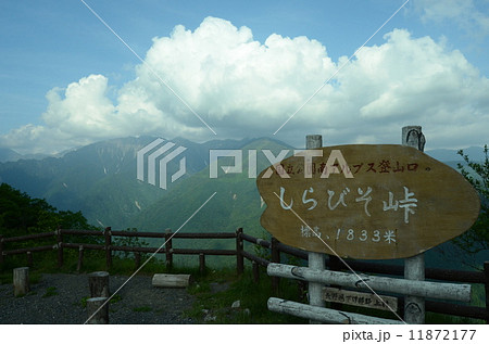 しらびそ高原 11872177
