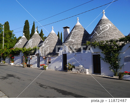 アルベロベッロのトゥルッリ 11872487