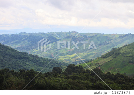 fields in the mountains 11873372