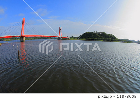 北潟湖畔 11873608