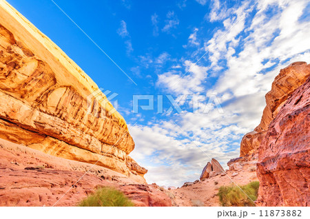 ヨルダンの砂漠(ワディ・ラム、ウンム・フルースより) 11873882