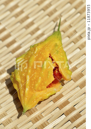 ミニミニゴーヤ 11873955