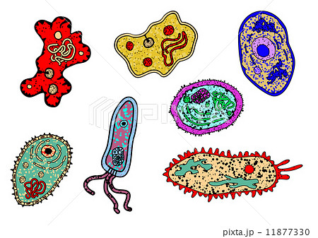 Cartoon Ameba Or Microbial Lifeformsのイラスト素材