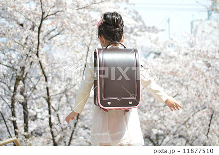 桜の下の新一年生 11877510