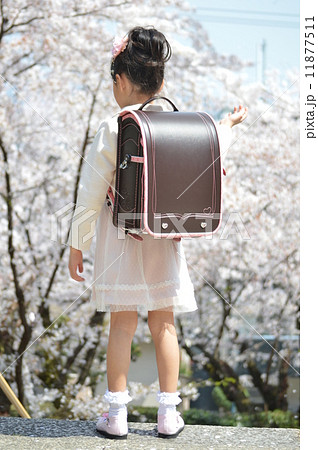 桜の下の新一年生 11877511