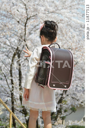 桜の下の新一年生 11877513